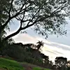 Patricia Miranda - @patricia.miranda96 - TikTok
