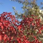 Tricia Nolan - @trician1 - Instagram