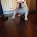 Tricia Oakes - Facebook