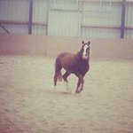 Patricia Otto - @otto_patricia - Instagram