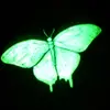 phosphorescent💚dreams - @tricia_paramore - TikTok