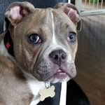 Tricia Payne - @tricia.payne.7 - Instagram