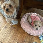 Tricia Appleby Petersen - @triciaapplebypetersen - Instagram