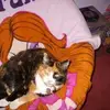 triciareillyskelt - @triciareillyskelt - TikTok