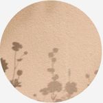 tricia rice - @tricia.esthetics - Instagram