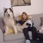 Patricia Ritchie - @skyeotheracc - Instagram