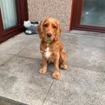 Patricia Ritchie - @ritchie7485 - Instagram