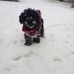 Patricia Roe - Facebook