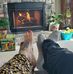 Tricia Roe - Facebook