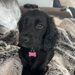 Tricia Rutherford - @tricia.rutherford - Instagram