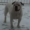 Patricia Shipley - @patricia.shipley5 - TikTok