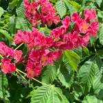 Patricia Shipley Miller - @patm2003 - Instagram
