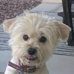 TRICIA K SHIPLEY - @tshipley1 - Instagram
