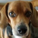 Tricia Singer Ciliberto - @singerciliberto - Instagram