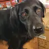 Tricia Spencer - @tricia.spencer7 - TikTok