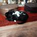 Tricia Sutton - Facebook