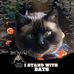 Tricia Sutton - Facebook