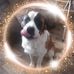 Trish Vanderpool-clark - Facebook