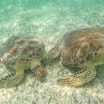 Tricia Gleason Yoder - @pgilbert6 - Instagram