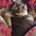 Trish Yoder - Facebook