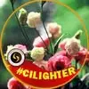 Triet Dinh - @triet.dinh8 - TikTok