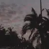 trietmusicchill - @trietlam_ - TikTok