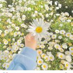Triệu Giang - @huan.giang - Instagram