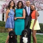 Trina Johnson Arnold - @trinaarnold8007 - Instagram