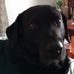 Trisha Bodenstein - Facebook