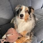 Trina Burton-Isnor - @burtonisnor2010 - Instagram