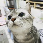Trina Chan - @ttttttrina - Instagram
