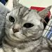 Trina chan - Facebook
