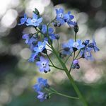 Trina Davidson - @tdavidson5443 - Instagram