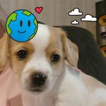 Trina Davidson - @trins40 - Instagram