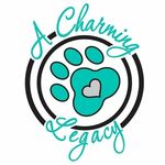 Katrina Dutton - @a.charming.legacy - Instagram