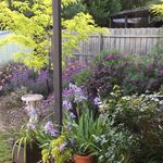 Trina Egan - @trinaegan - Instagram