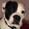 Trina Files - @trina.files - TikTok