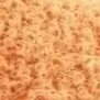 trina.gilbert - @trina.gilbert - TikTok