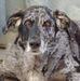 Trina Huff - Facebook