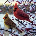 Trina Knowles - Facebook