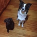 Trina McDowell - @mcdowelltrina - Instagram
