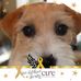 Trina Powell - Facebook