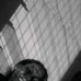 Trina Lina Rose - Facebook