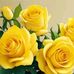Trina Rose Aguirre - Facebook