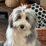 Trina - @trinaschneider66 - Instagram