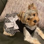 Trina Stone - @tlscws - Instagram