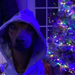 Katrina Warner - @katrina.warner.5268 - Instagram