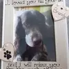 snoopy - @trinawarner5 - TikTok