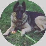 Trina Watson - @watty.112 - Instagram