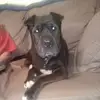 trinaweaver621 - @trinaweaver621 - TikTok